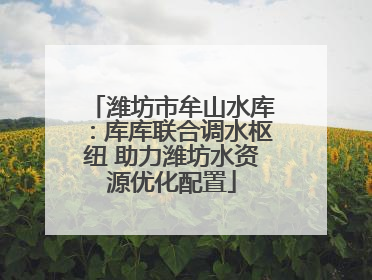 潍坊市牟山水库：库库联合调水枢纽 助力潍坊水资源优化配置