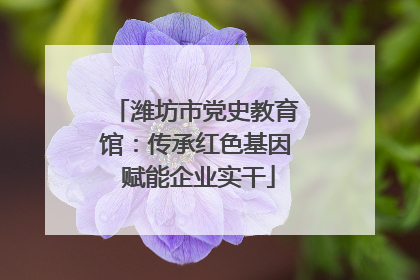 潍坊市党史教育馆：传承红色基因 赋能企业实干