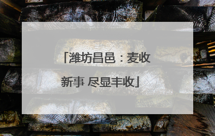 潍坊昌邑：麦收新事 尽显丰收
