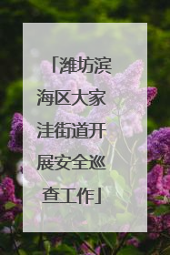 潍坊滨海区大家洼街道开展安全巡查工作