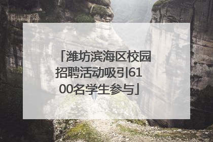 潍坊滨海区校园招聘活动吸引6100名学生参与