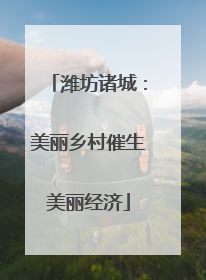 潍坊诸城：美丽乡村催生美丽经济