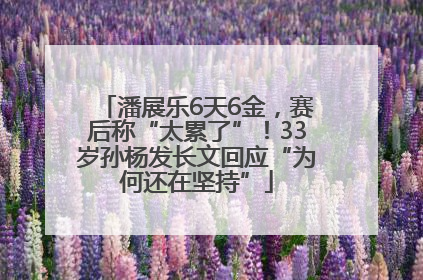 潘展乐6天6金，赛后称“太累了”！33岁孙杨发长文回应“为何还在坚持”