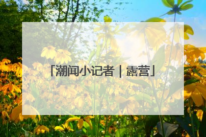 潮闻小记者｜露营