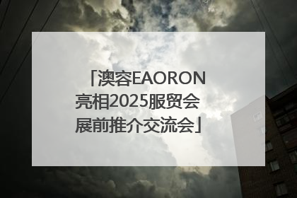 澳容EAORON亮相2025服贸会展前推介交流会
