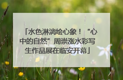 水色淋漓绘心象！“心中的自然”周崇涨水彩写生作品展在临安开幕