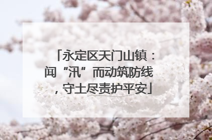永定区天门山镇：闻“汛”而动筑防线，守土尽责护平安