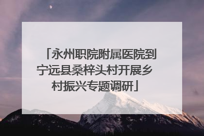 永州职院附属医院到宁远县桑梓头村开展乡村振兴专题调研