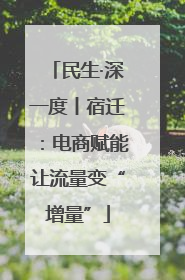 民生·深一度丨宿迁：电商赋能让流量变“增量”