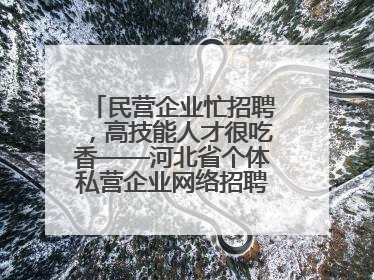 民营企业忙招聘，高技能人才很吃香——河北省个体私营企业网络招聘大会扫描