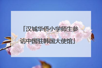 汉城华侨小学师生参访中国驻韩国大使馆