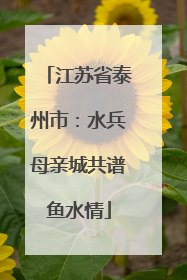 江苏省泰州市：水兵母亲城共谱鱼水情