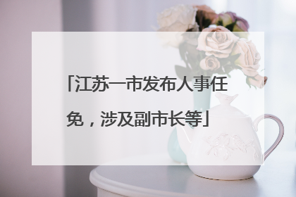 江苏一市发布人事任免，涉及副市长等