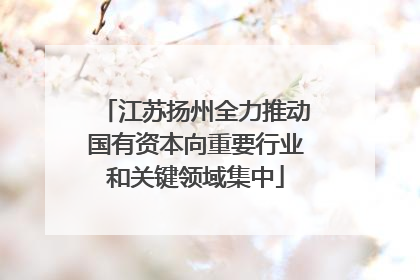 江苏扬州全力推动国有资本向重要行业和关键领域集中