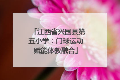 江西省兴国县第五小学：门球运动赋能体教融合