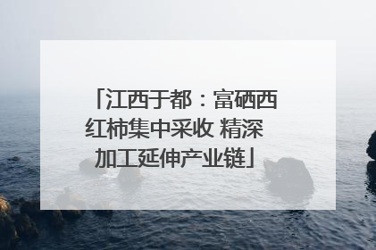 江西于都：富硒西红柿集中采收 精深加工延伸产业链