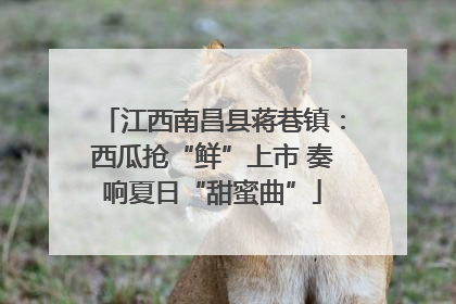 江西南昌县蒋巷镇：西瓜抢“鲜”上市 奏响夏日“甜蜜曲”