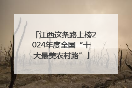 江西这条路上榜2024年度全国“十大最美农村路”