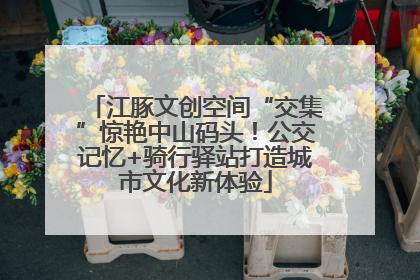 江豚文创空间“交集”惊艳中山码头！公交记忆+骑行驿站打造城市文化新体验