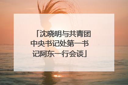 沈晓明与共青团中央书记处第一书记阿东一行会谈