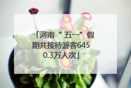 河南“ 五一”假期共接待游客6450.3万人次