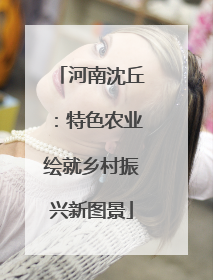 河南沈丘：特色农业绘就乡村振兴新图景