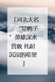 河北大名：“旱鸭子”英雄深水营救 托起沉没的希望