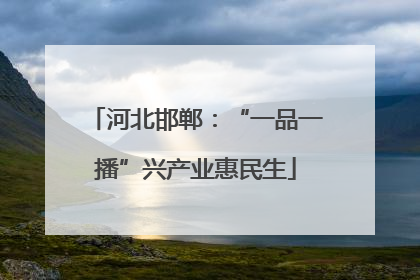 河北邯郸：“一品一播”兴产业惠民生