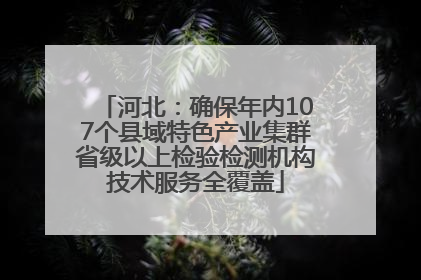 河北：确保年内107个县域特色产业集群省级以上检验检测机构技术服务全覆盖