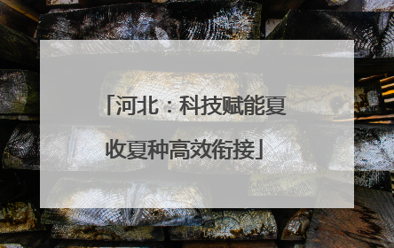 河北：科技赋能夏收夏种高效衔接