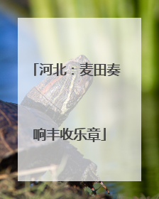 河北：麦田奏响丰收乐章