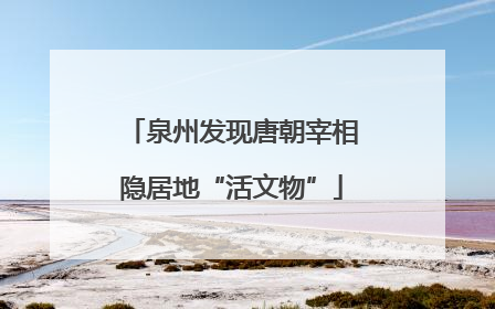 泉州发现唐朝宰相隐居地“活文物”