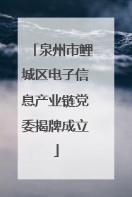 泉州市鲤城区电子信息产业链党委揭牌成立