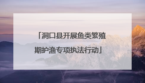 洞口县开展鱼类繁殖期护渔专项执法行动