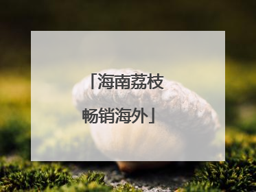海南荔枝畅销海外