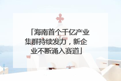 海南首个千亿产业集群持续发力，新企业不断涌入赛道