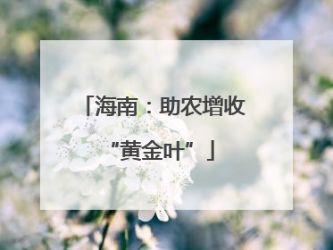 海南：助农增收 “黄金叶”