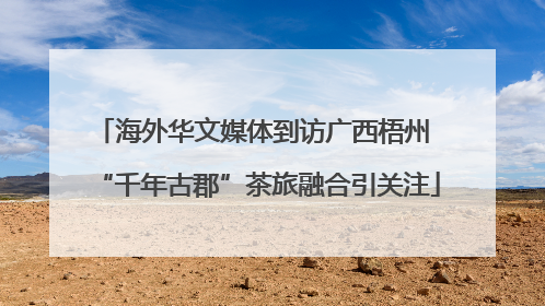 海外华文媒体到访广西梧州 “千年古郡”茶旅融合引关注