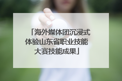 海外媒体团沉浸式体验山东省职业技能大赛技能成果