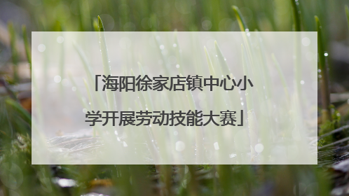 海阳徐家店镇中心小学开展劳动技能大赛