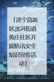 济宁高新区洸河街道黄庄社区开展防汛安全知识宣传活动