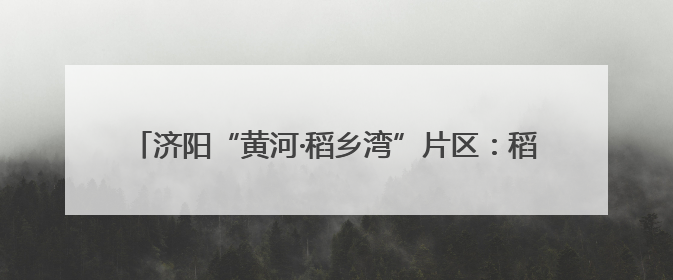 济阳“黄河·稻乡湾”片区：稻荷飘香、善治惠民、青春激扬