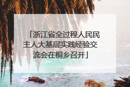 浙江省全过程人民民主人大基层实践经验交流会在桐乡召开
