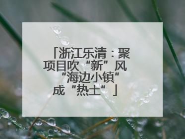 浙江乐清：聚项目吹“新”风 “海边小镇”成“热土”