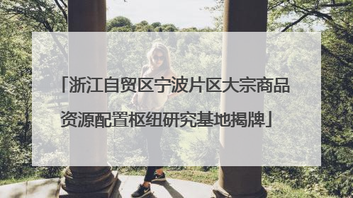 浙江自贸区宁波片区大宗商品资源配置枢纽研究基地揭牌