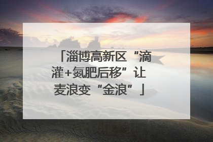 淄博高新区“滴灌+氮肥后移”让麦浪变“金浪”