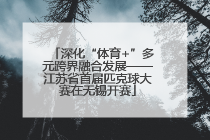 深化“体育+”多元跨界融合发展——江苏省首届匹克球大赛在无锡开赛