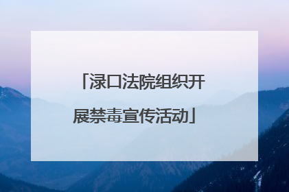渌口法院组织开展禁毒宣传活动