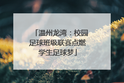 温州龙湾：校园足球班级联赛点燃学生足球梦