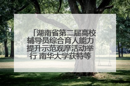 湖南省第二届高校辅导员综合育人能力提升示范观摩活动举行 南华大学获特等奖和一等奖